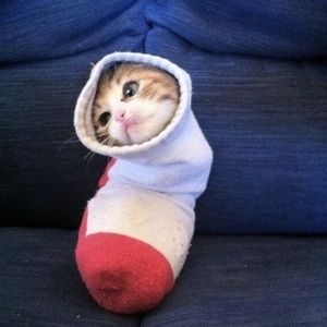 Meet your Posher, Elijah